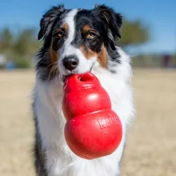 KONG Bounzer