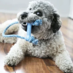 KONG Puppy Goodie Bone -purulelu köydellä