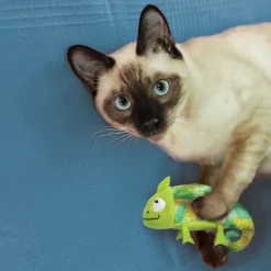 KONG Refillables Chameleon -kissanlelu