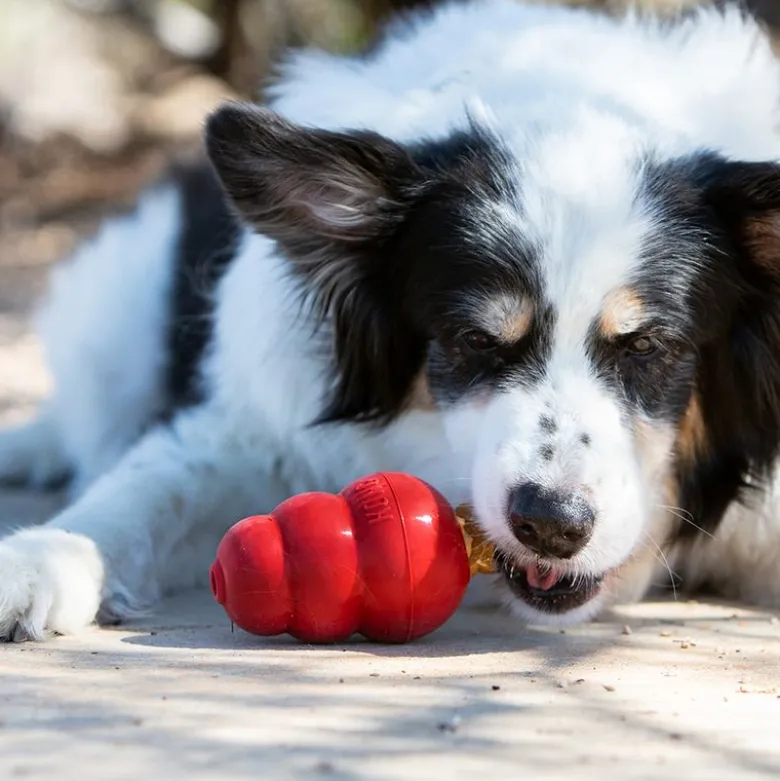 KONG Snacks Liver