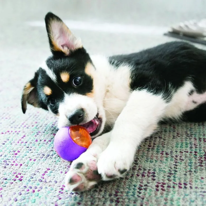 KONG Squeezz Action Ball