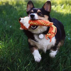 KONG Winder Fox