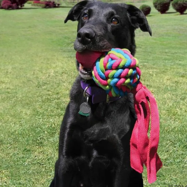 KONG Wubba Weaves