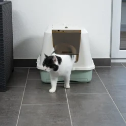 kooa kannellinen kissanvessa ekologista muovia