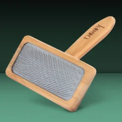 kooa-karsta bambua