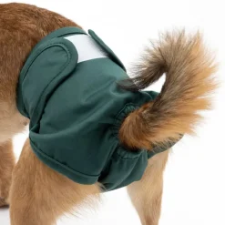 kooa pestävä vaippa narttukoirille