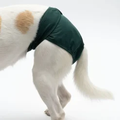 kooa pestävä vaippa narttukoirille