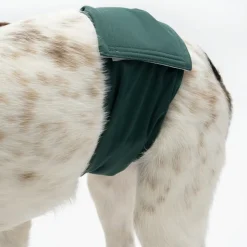 kooa pestävä vaippa uroskoirille