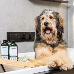 kooa Sensitive Shampoo