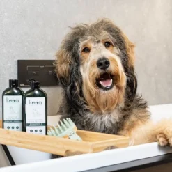 kooa -syväpuhdistava shampoo