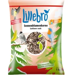 Lillebro-auringonkukansiemenet