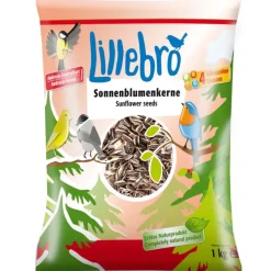 Lillebro-auringonkukansiemenet