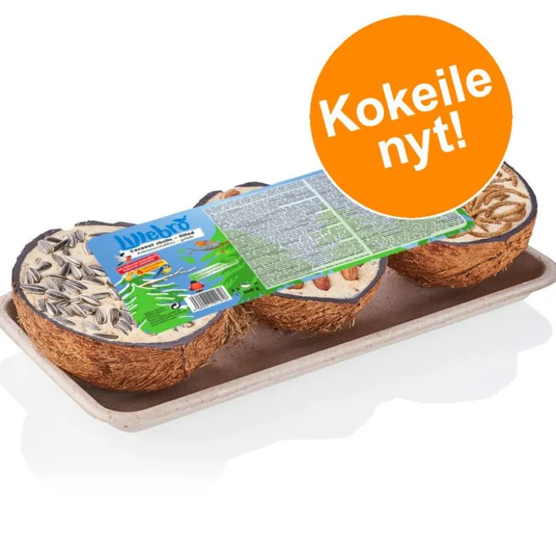 Lillebro linnunruoalla täytetyt kookospähkinänkuoret
