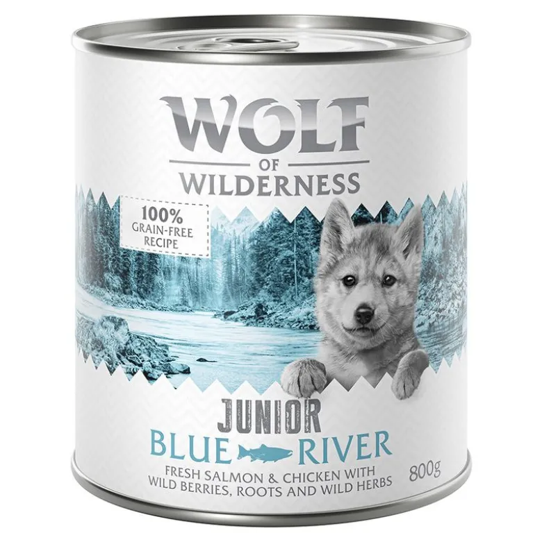 Little Wolf of Wilderness -säästöpakkaus 12 x 800 g