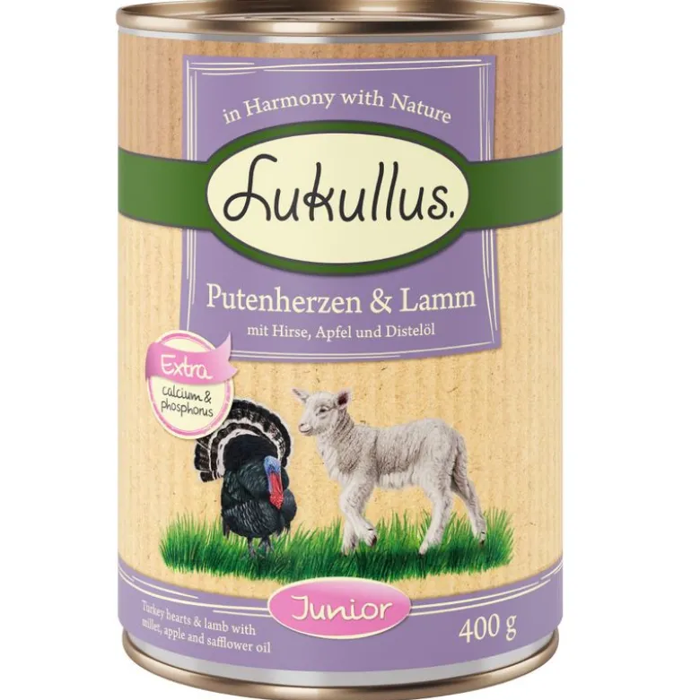 Lukullus Junior -kokeilupakkaus, monta makua