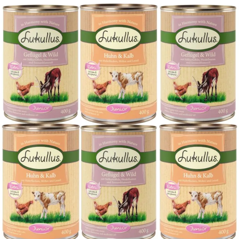Lukullus Junior -kokeilupakkaus, monta makua