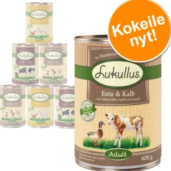 Lukullus-kokeilupakkaus (viljaton)