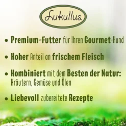 Lukullus Mini Pouches -säästöpakkaus 48 x 150 g