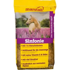 Marstall Sinfonie