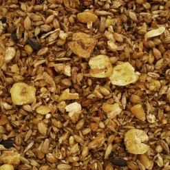 Mühldorfer Senior