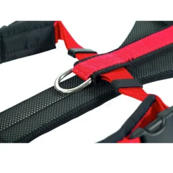 NEEWA Running Harness, punainen