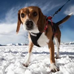 NEEWA Running Harness, punainen