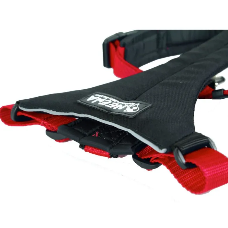 NEEWA Running Harness, punainen