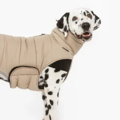 Nomad Tales Bloom Quilted Comfort -koiran takki, khaki