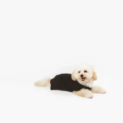 Nomad Tales Blush Ebony -koiranpusero