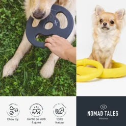 Nomad Tales Calma -litsipuu koirille