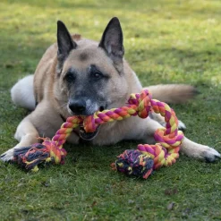 Nomad Tales Multicolor Rope -koiranlelu