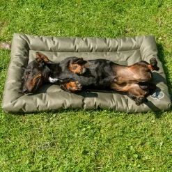 Nomad Tales Spirit Outdoor Pine -koirantyyny