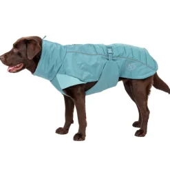 Nomad Tales Spirit Pacific -koiran softshell-takki