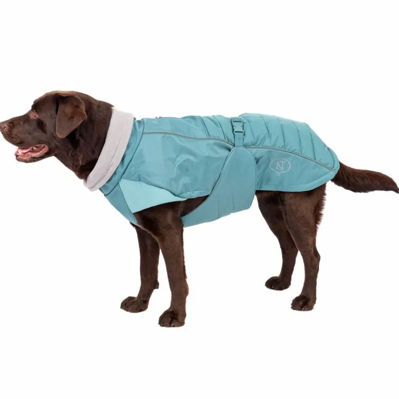 Nomad Tales Spirit Pacific -koiran softshell-takki