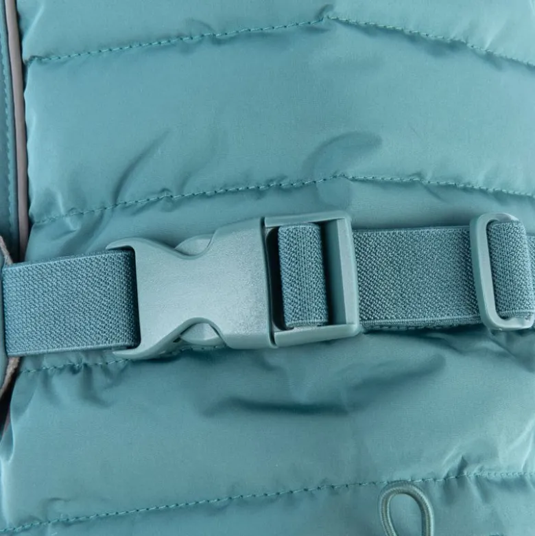 Nomad Tales Spirit Pacific -koiran softshell-takki