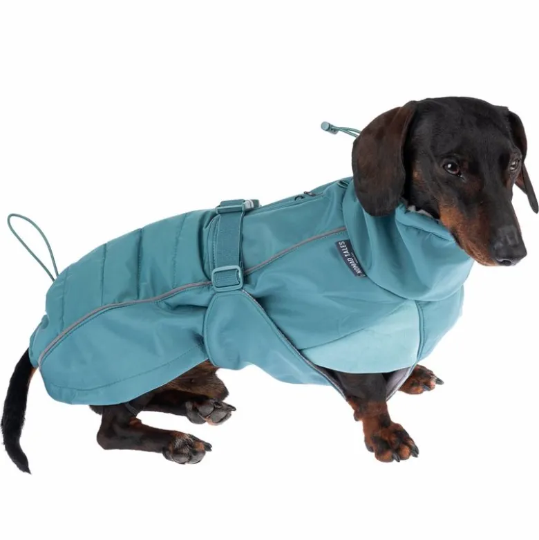 Nomad Tales Spirit Pacific -koiran softshell-takki