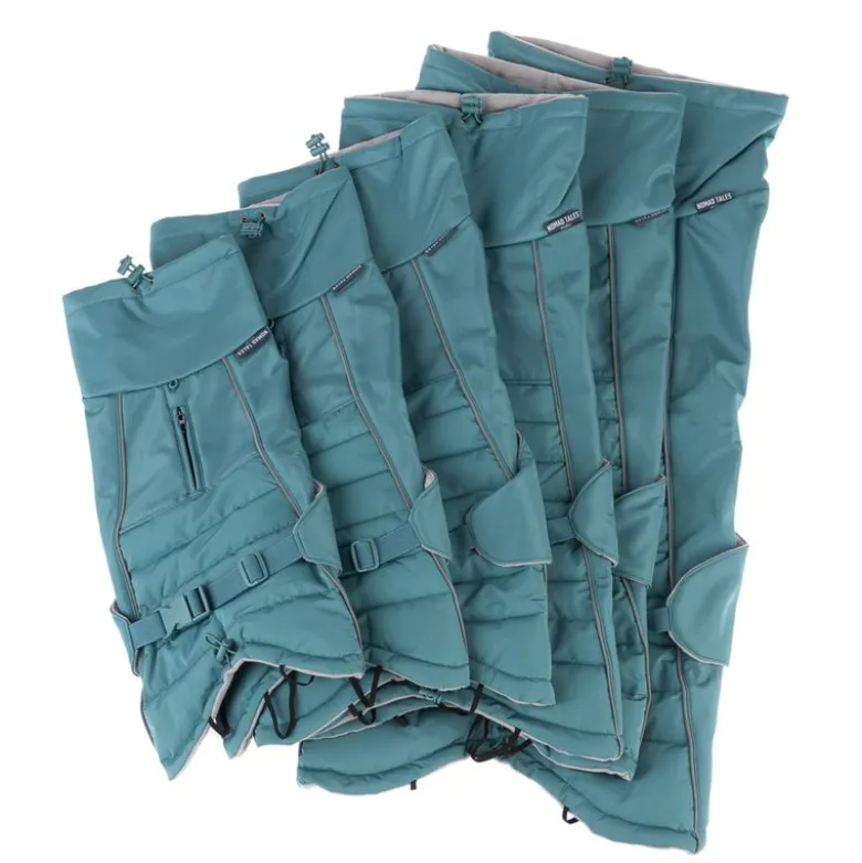 Nomad Tales Spirit Pacific -koiran softshell-takki