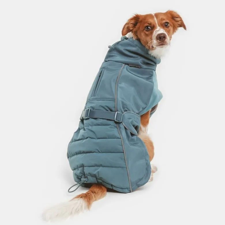 Nomad Tales Spirit Pacific -koiran softshell-takki