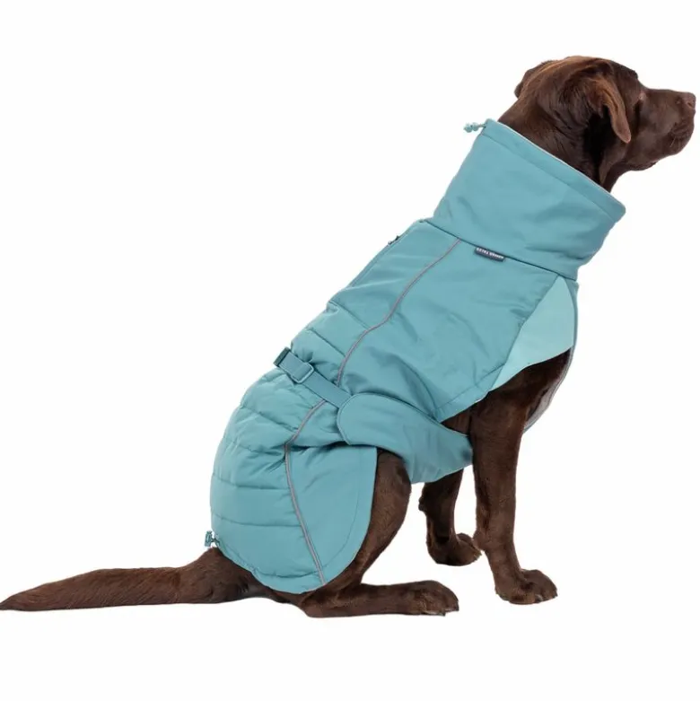 Nomad Tales Spirit Pacific -koiran softshell-takki
