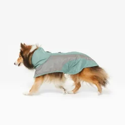 Nomad Tales Spirit Reflective Mint -sadetakki koiralle