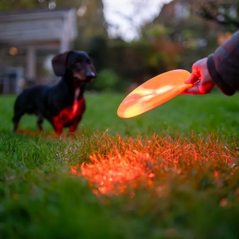 Nomad Tales Spirit USB LED -frisbee