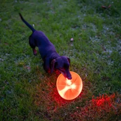 Nomad Tales Spirit USB LED -frisbee