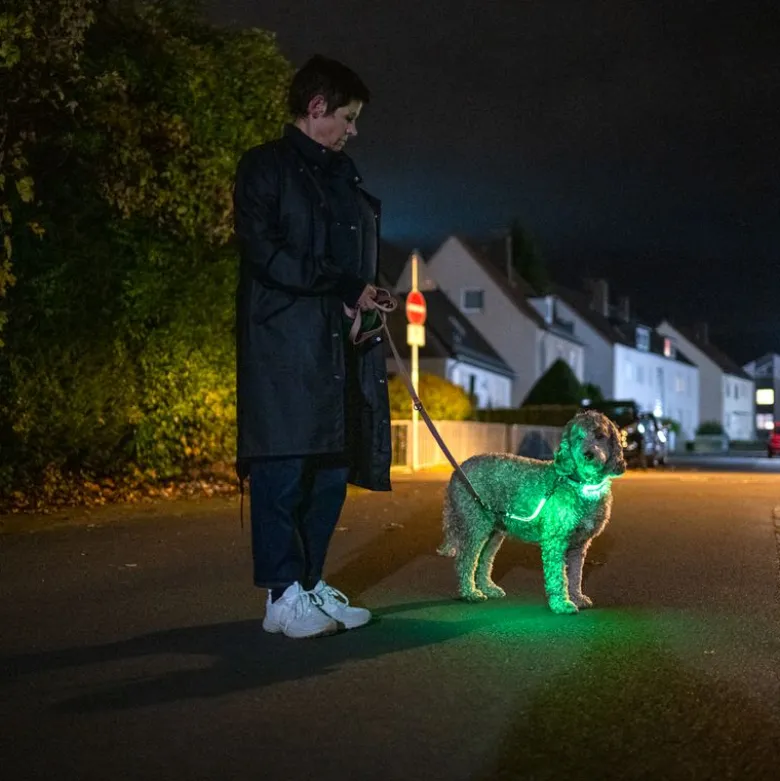 Nomad Tales Spirit USB LED -hihnanpidennys, neonkeltainen ja harmaa