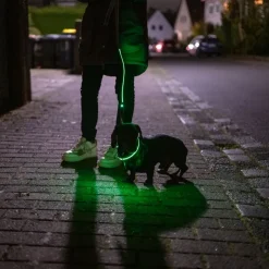 Nomad Tales Spirit USB LED -nailonkaulapanta, neonkeltainen ja harmaa