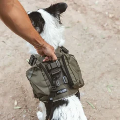 Nomad Tales Tactical -koiravaljaat