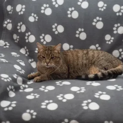 Pawty-fleecepeitto