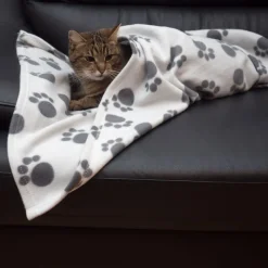 Pawty-fleecepeitto