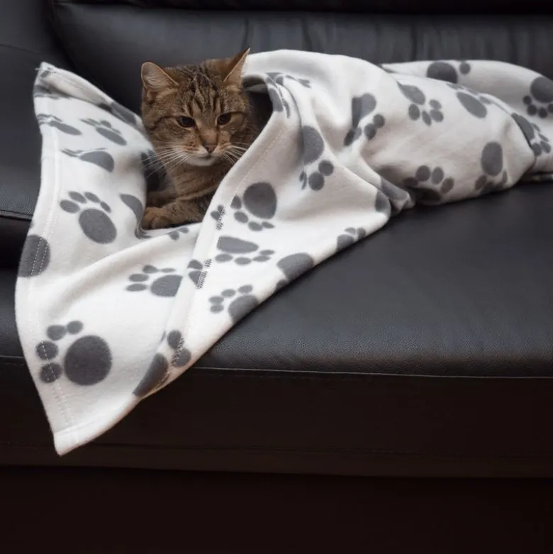 Pawty-fleecepeitto