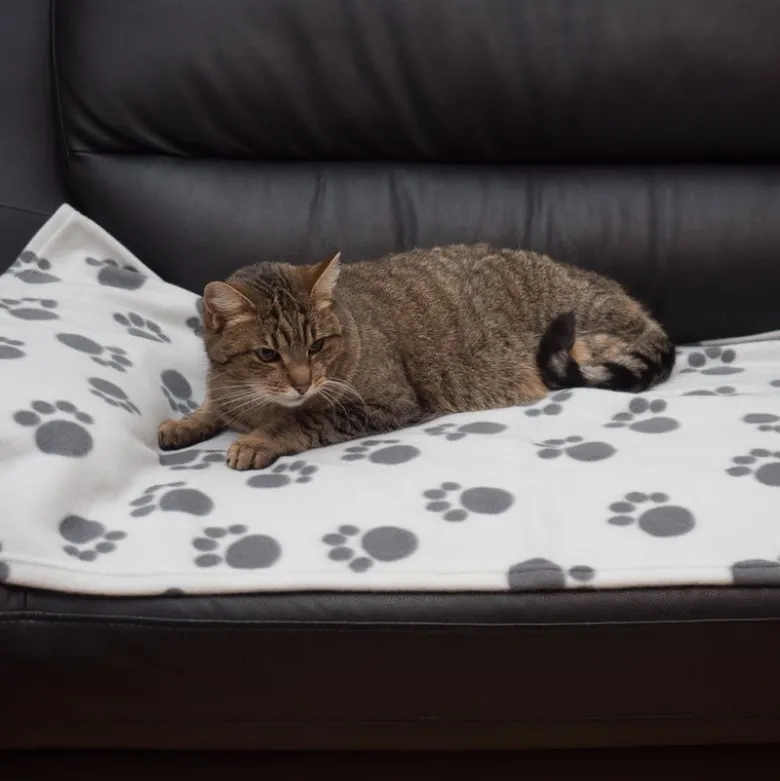 Pawty-fleecepeitto