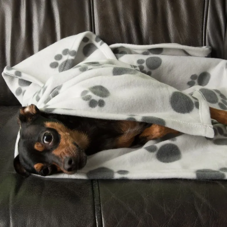 Pawty-fleecepeitto